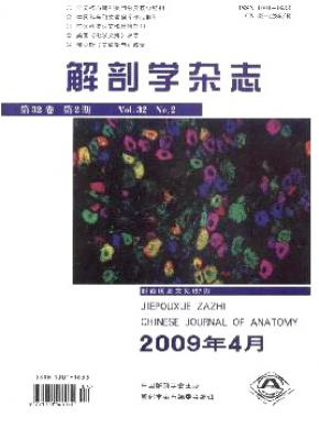 ѧ־ڿ־_ѧ־ô_ڿͳԴƼڿCSCD - 