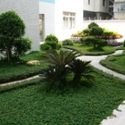 成都市第四十中学校