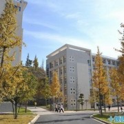 巧家县职业高级中学