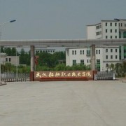 大竹庙坝中学