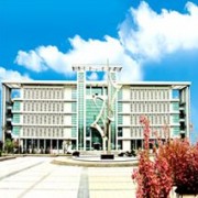 山东凯文科技职业学院