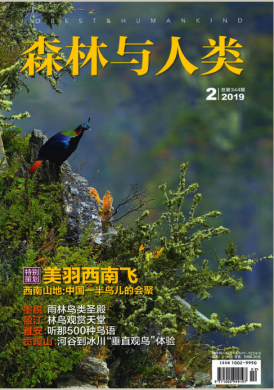 森林与人类 森林与人类