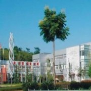 景德镇陶瓷学院科技艺术学院