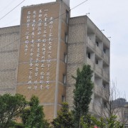 武汉科技大学城市学院