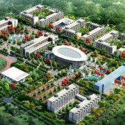西藏大学