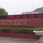 绵阳南山中学双语学校