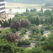 西南政法大学成人教育学院