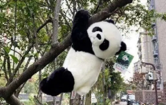 �������Ϻ�������Ӣ������Ӫʵ���Ķ����ɣ�����Ӣ���Ķ�ˮƽ�����Σ�