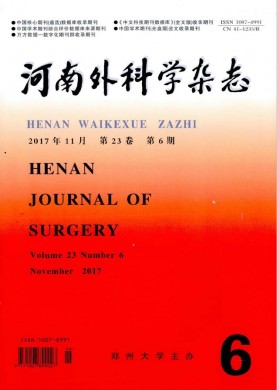 河南外科学杂志 河南外科学杂志