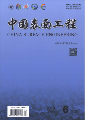 中国表面工程 中国表面工程