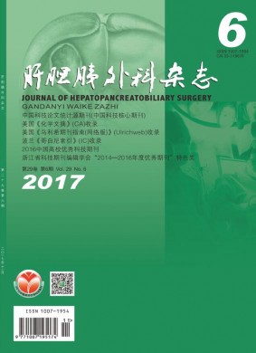 肝胆胰外科杂志 肝胆胰外科杂志