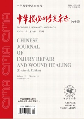 中华损伤与修复杂志(电子版) 中华损伤与修复杂志(电子版)