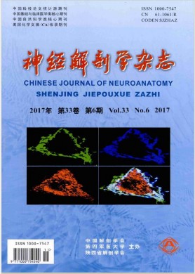 神经解剖学杂志 神经解剖学杂志