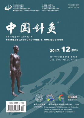 中国针灸 中国针灸