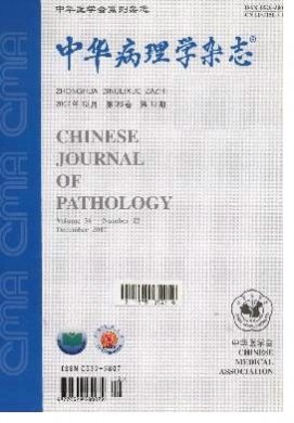 中华病理学杂志 中华病理学杂志
