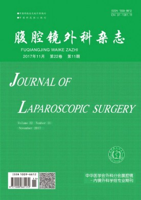 腹腔镜外科杂志 腹腔镜外科杂志