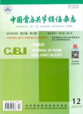 中国骨与关节损伤杂志 中国骨与关节损伤杂志