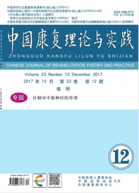 中国康复理论与实践 中国康复理论与实践