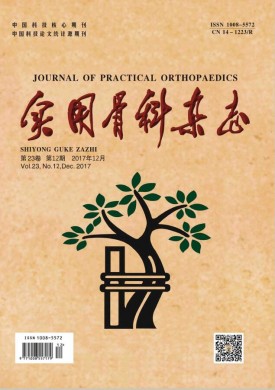 实用骨科杂志 实用骨科杂志