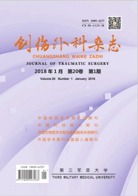 创伤外科杂志 创伤外科杂志