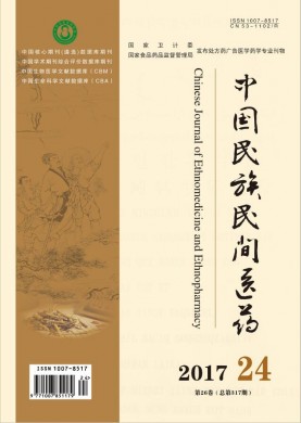 中国民族民间医药 中国民族民间医药