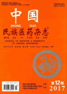 中国民族医药杂志 中国民族医药杂志