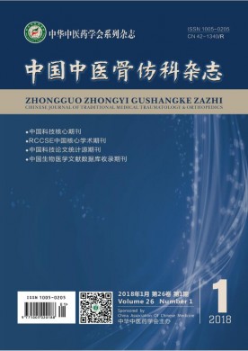 中国中医骨伤科杂志 中国中医骨伤科杂志